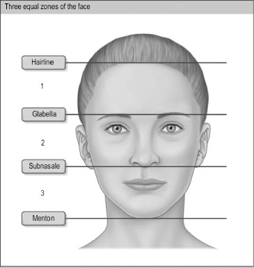 Face Expression Analysis 53