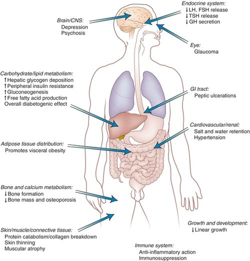 Oral Glucocorticoid 17