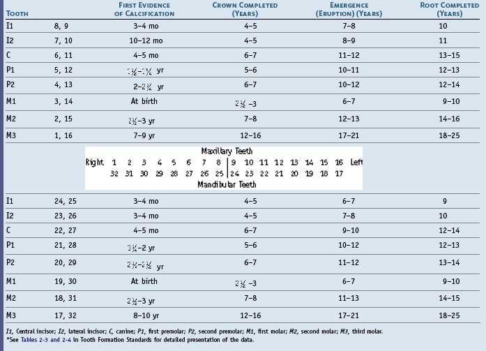 Permanent Tooth Calcification Chart