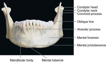 10: Applied Surgical Anatomy of the Head and Neck | Pocket Dentistry