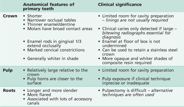 Difference Between Primary And Secondary Tooth