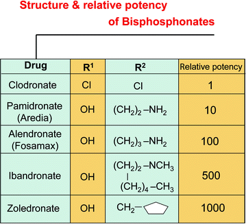 bisphosphonates structure