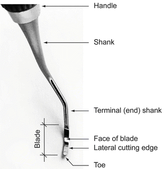 The cutting edge of dental instruments