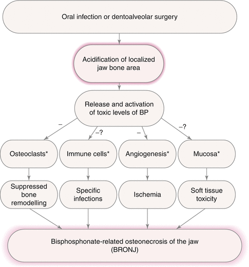 Pathogenesis Of Medication Related Osteonecrosis Of The Jaw Pocket