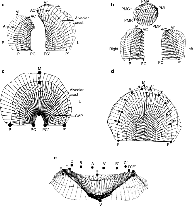 A79774_3_En_27_Fig2_HTML.gif