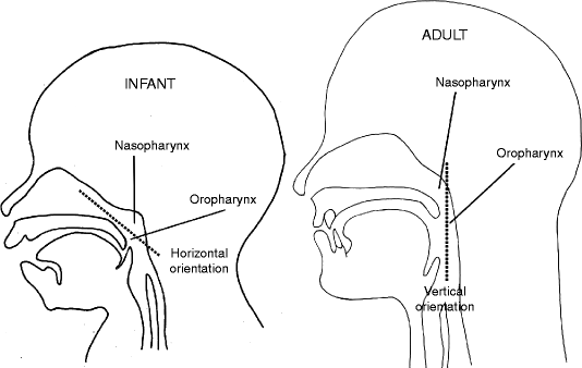 The Velopharyngeal Mechanism | Pocket Dentistry