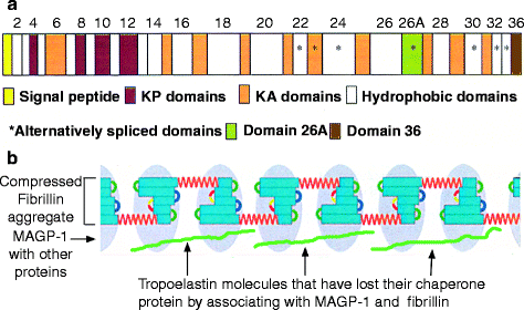 A978-3-540-88116-2_6_Fig4_HTML.gif