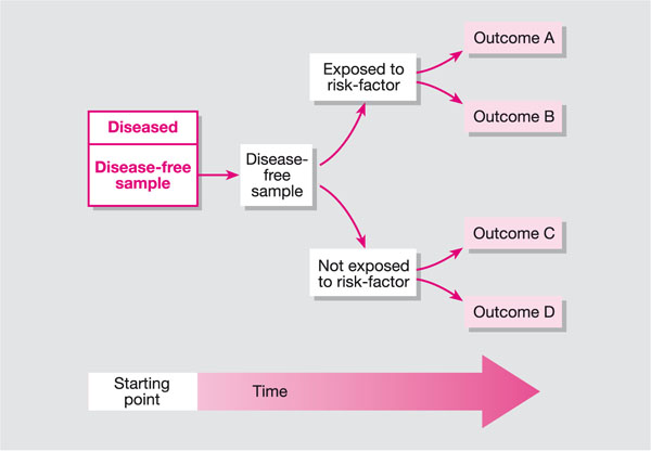 Cohort studies. Cohort studies examples. Ретроспектива и проспектива разница. Cohort Definition Biology. Prospective and Retrospective connections.