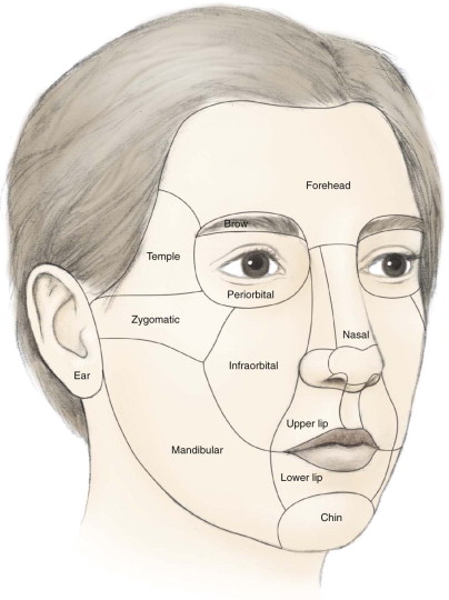 Burns of the Head and Neck | Pocket Dentistry