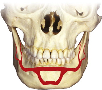 Inferior alveolar nerve - Wikipedia