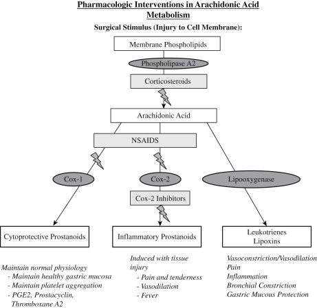 Management Of Acute Postoperative Pain After Oral Surgery | Pocket ...