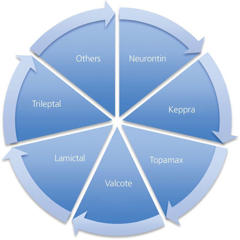 Cycle diagram in 7 segmented parts illustrating the drugs for medical management of nerve injuries, namely, the Neurontin, Keppra, Topamax, Valcote, Lamictal, Trileptal, and Others.