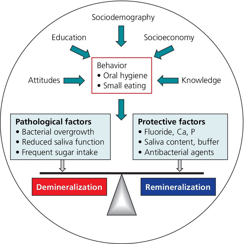 Schematic representation depicting caries balance as influenced by social, behavioral, and biological factors. It features factors for pathological (demineralization) and protective (remineralization).
