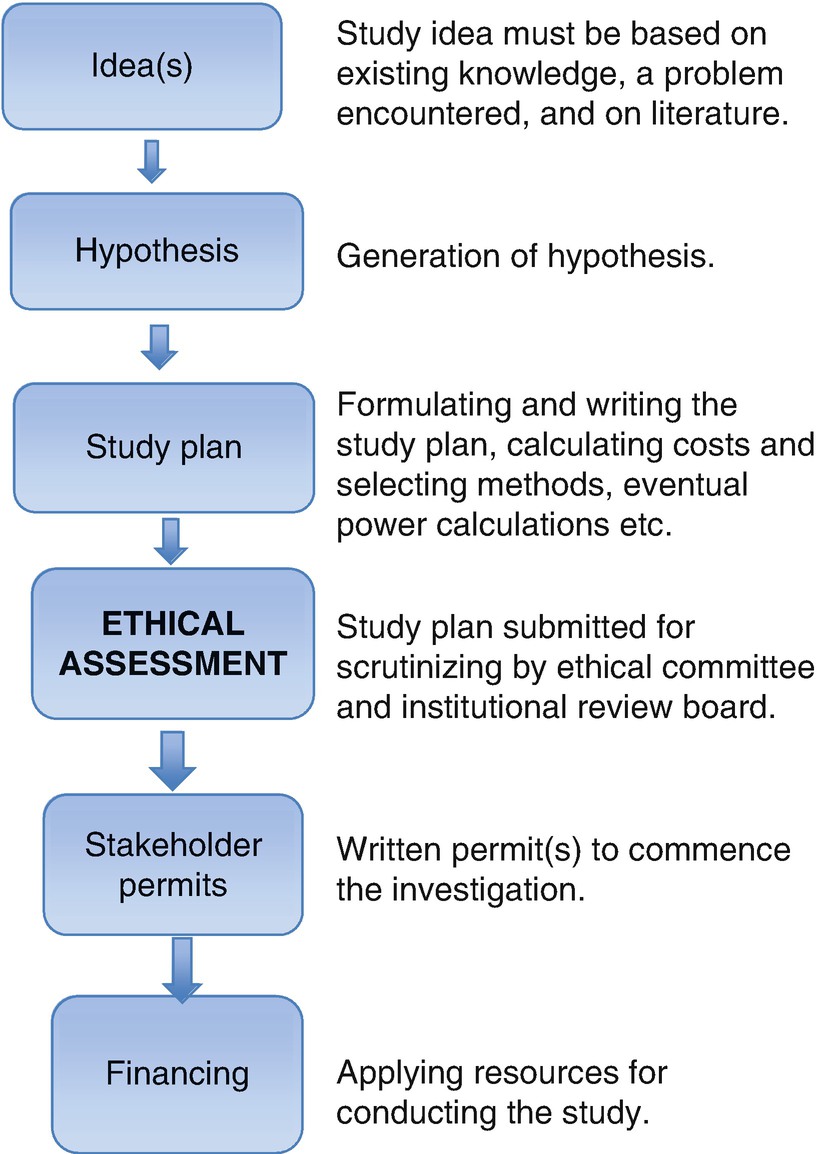 In Biomedical Research | Pocket Dentistry