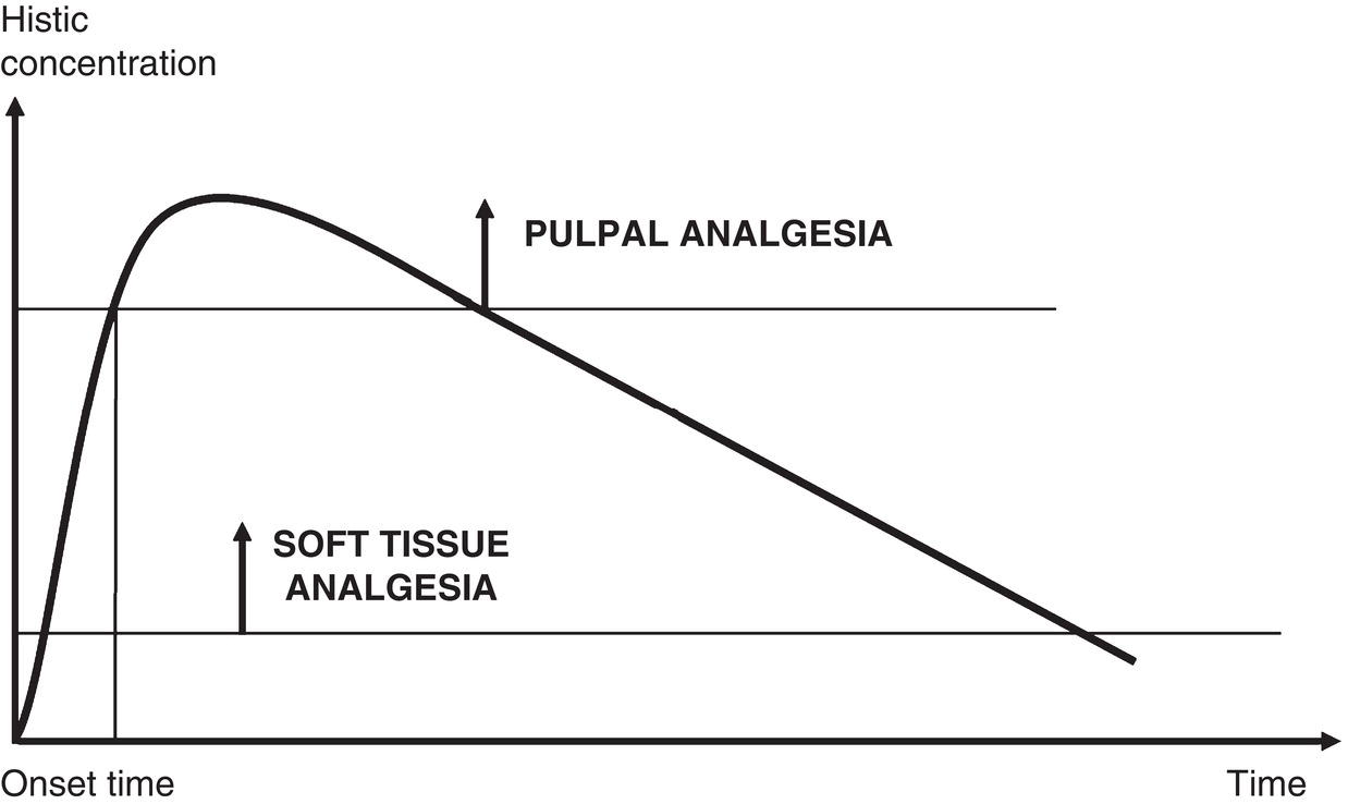 A graph of histic concentration versus time depicts a right-skewed curve. The upper part indicates pulpal analgesia, and the lower part indicates soft tissue analgesia. The initial point is the onset time.