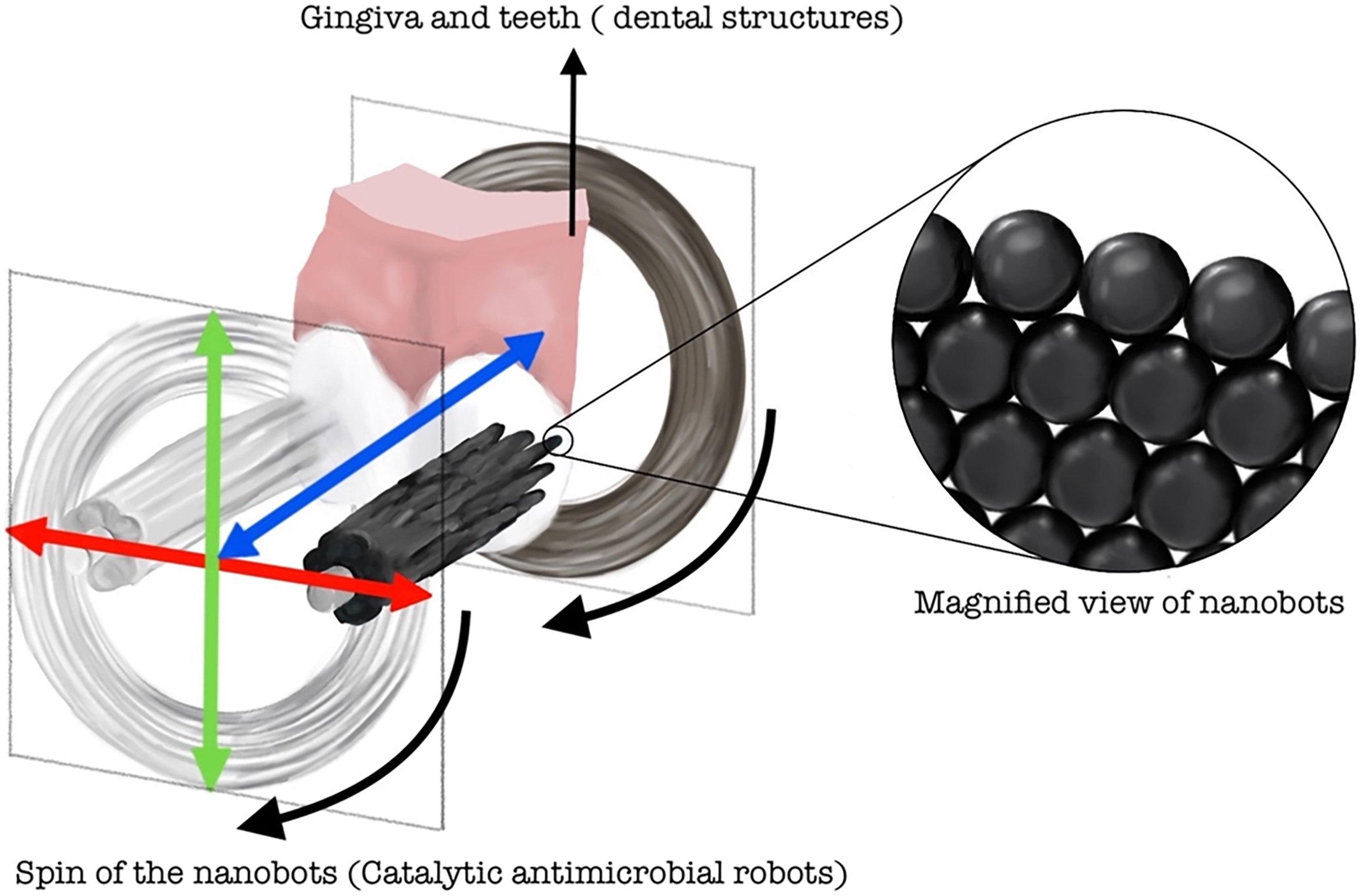 A diagram shows catalytic antimicrobial nanobots interacting with the gingiva and teeth, including a magnified view of the spherical robot units.