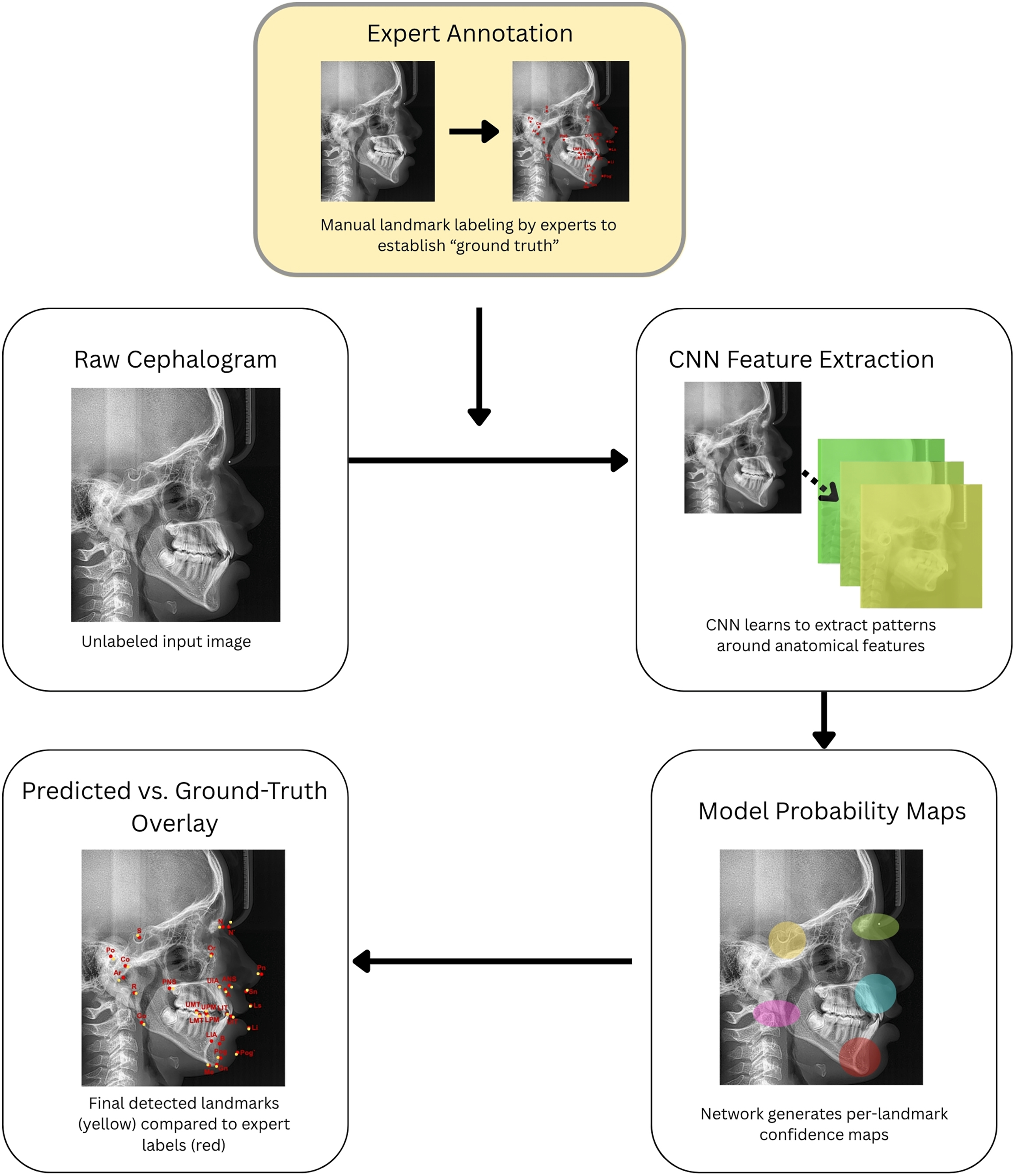 A diagram shows a C N N based cephalometric landmark detection pipeline moving from raw input through feature extraction to comparative validation against expert annotations.