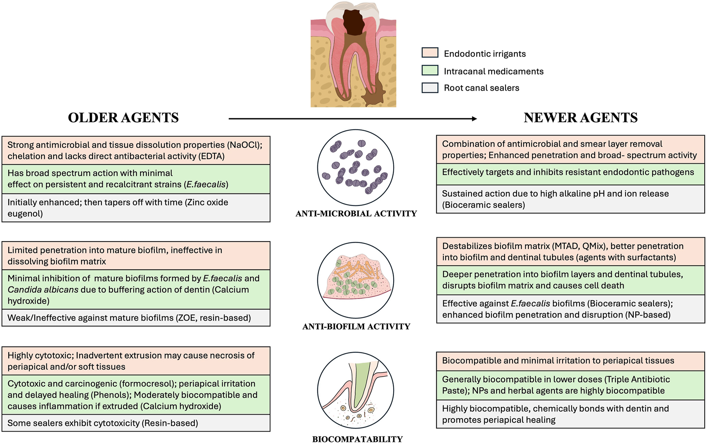 A comparative chart of older and newer endodontic agents categorized by antimicrobial activity, antibiofilm activity, and biocompatibility by text blocks and icons.