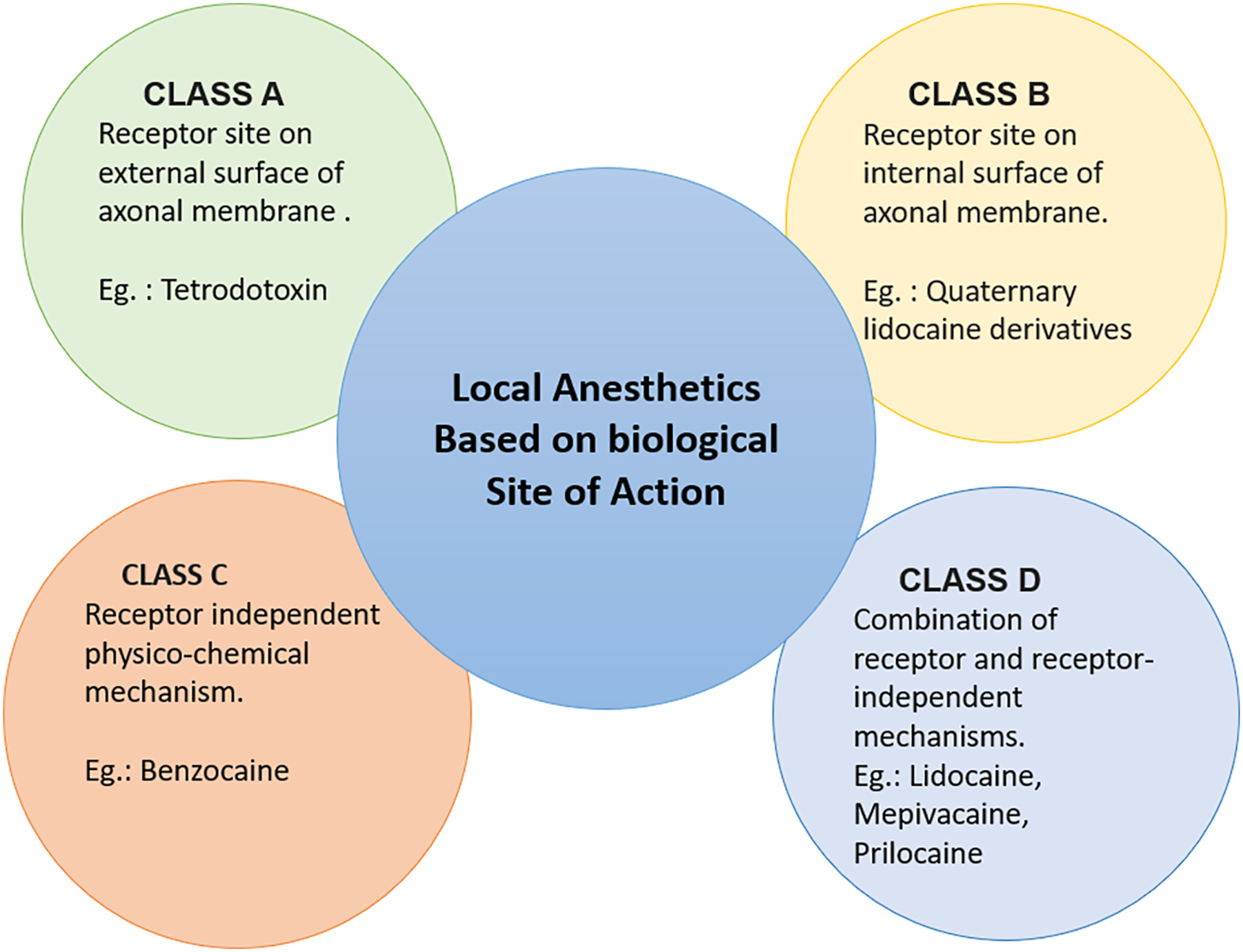 A classification chart of local anesthetics based on biological site of action, divided into four classes with different mechanisms and drug examples listed in separate circles.