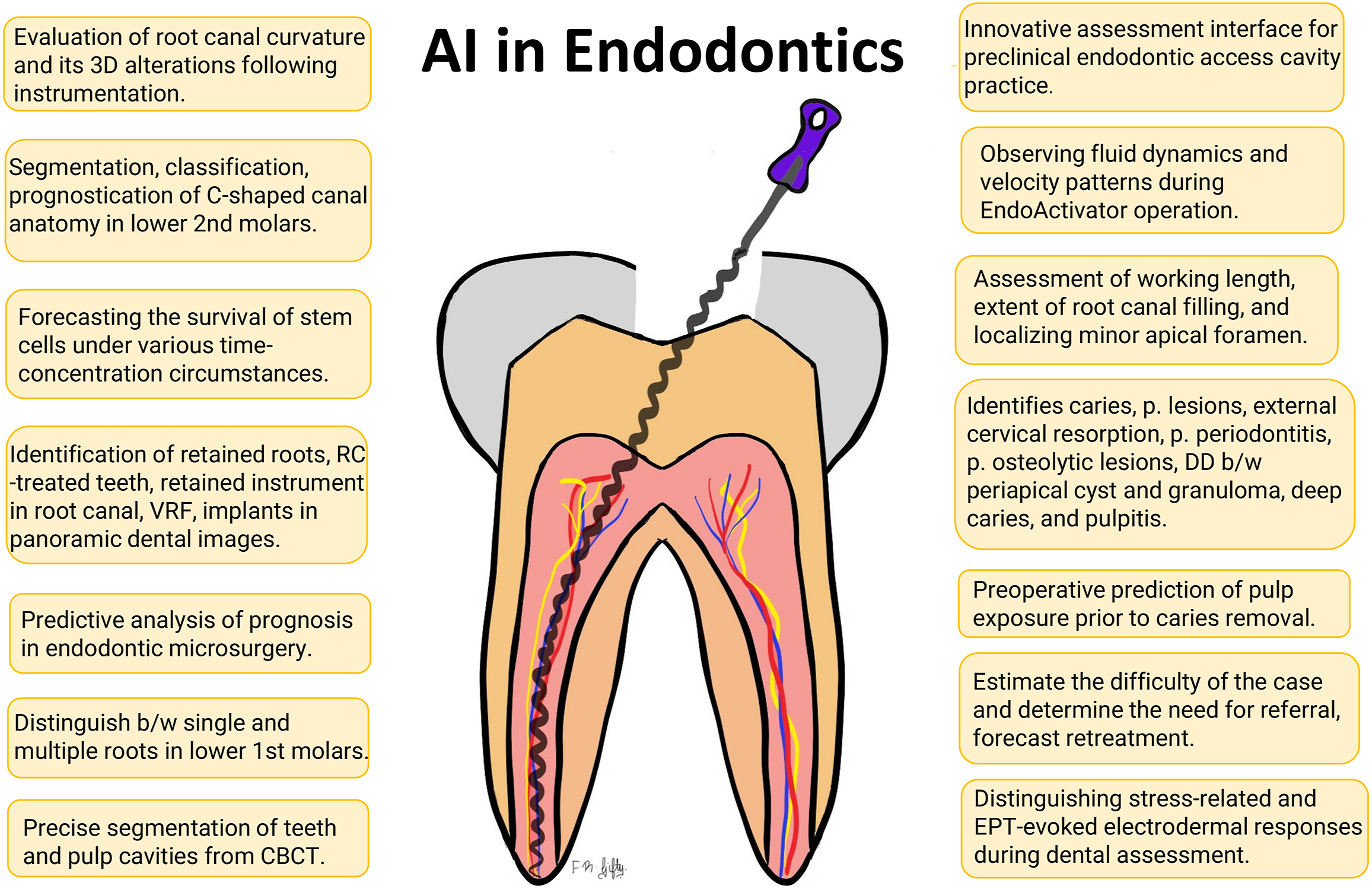 A diagram depicts artificial intelligence in endodontics applications.