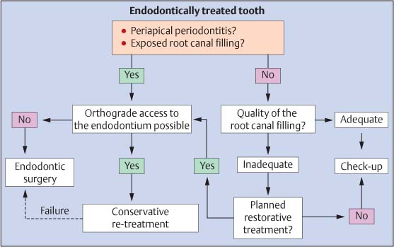 Endodontic Diagnosis Chart