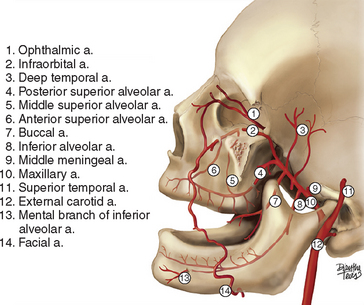 Dental implants: Mandibular neurovascular considerations 