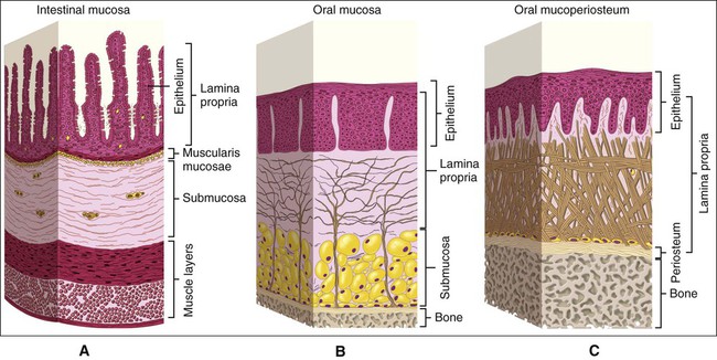 Glocuosa por via oral en rumiantes con cetosis