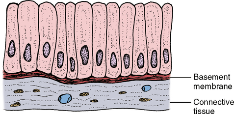 17: Basic Tissues | Pocket Dentistry
