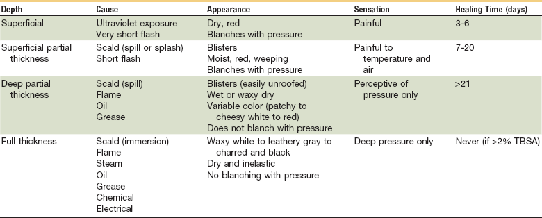 Burn Classification Chart