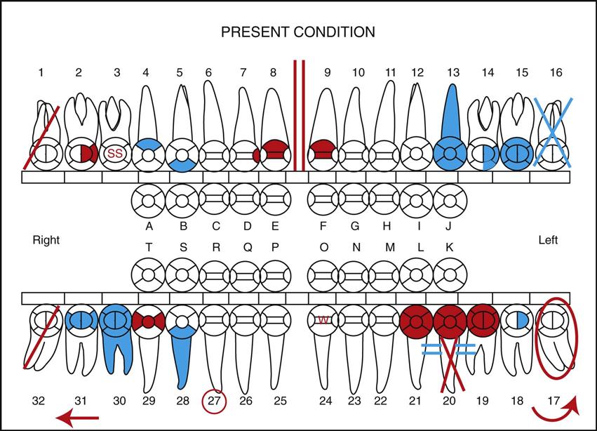 Printable Dental Charting - Customize and Print