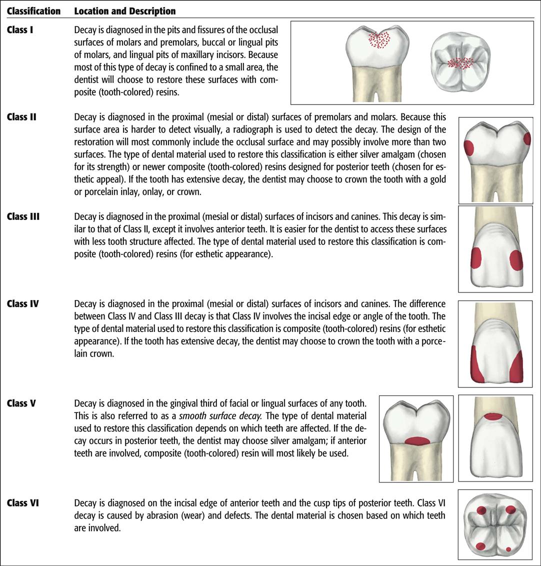 Geometric Dental Chart