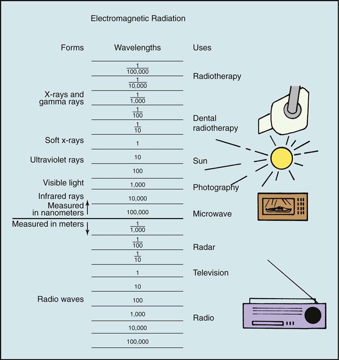 Dental X Ray Radiation Dose Chart