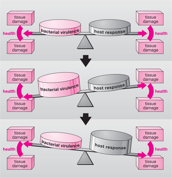 QE01_chapple_fig032.jpg