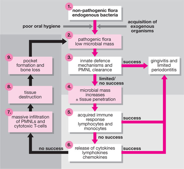 QE01_chapple_fig052.jpg