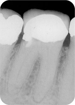 QE02_Whitworth_fig029.jpg