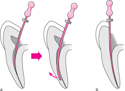 QE02_Whitworth_fig039.jpg