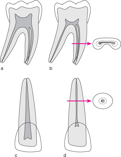 QE02_Whitworth_fig052.jpg