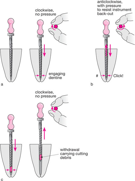 QE02_Whitworth_fig066.jpg