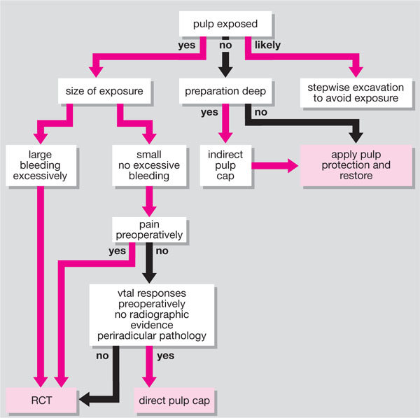 QE03_brunton_fig024.jpg