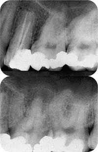 QE05_Horner_i-161_fig020.jpg