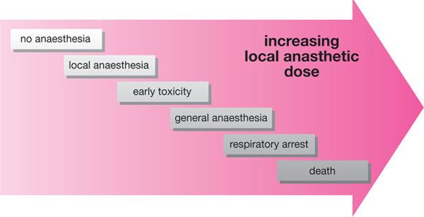 QE06_Meechan_fig095.jpg