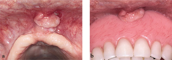 QE10_Macleod_fig040b.jpg