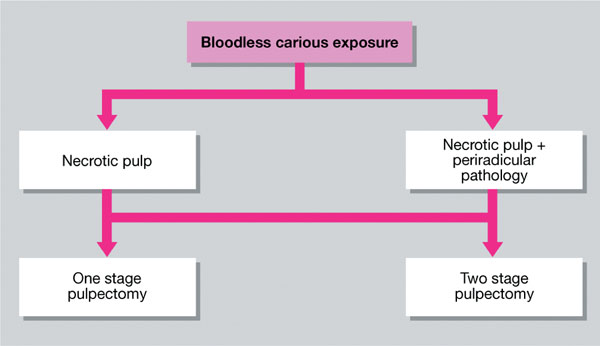 QE14_Hosey_fig098.jpg