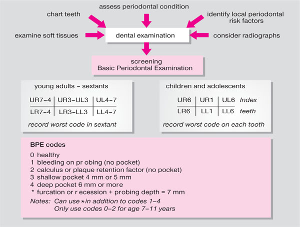 4 Clinical Examination And Local Risk Factors For Periodontal Diseases Pocket Dentistry