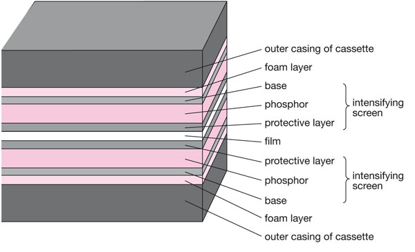 QE28_Horner_fig048b.jpg