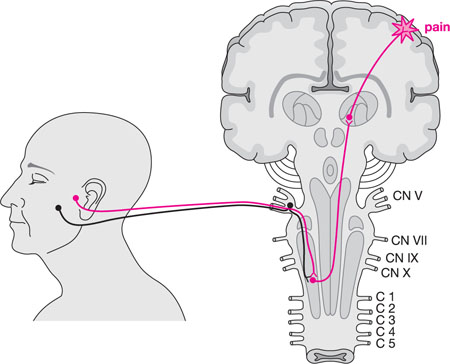 QE37_Murphy_fig085.jpg