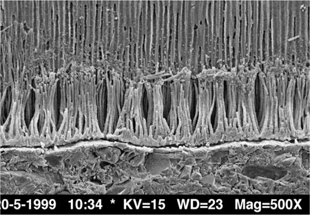 QE40_Mannocci_fig026.jpg