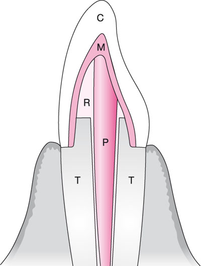 QE40_Mannocci_fig038a.jpg