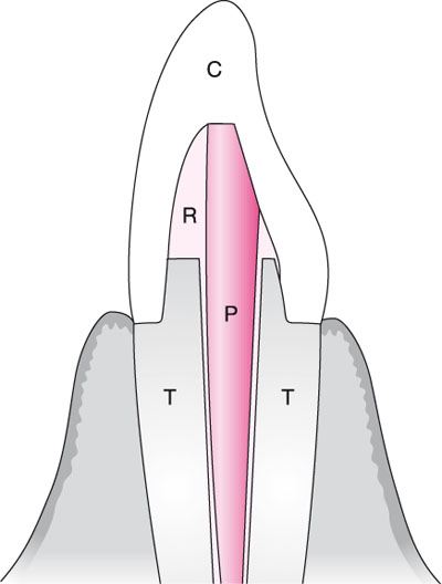 QE40_Mannocci_fig039b.jpg