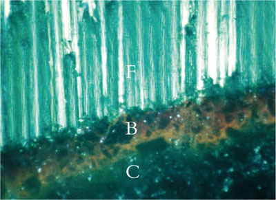 QE40_Mannocci_fig062b.jpg